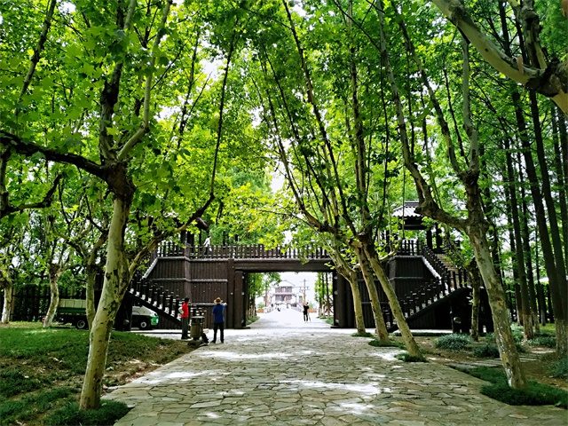 卓成科技无锡三国城一日游
